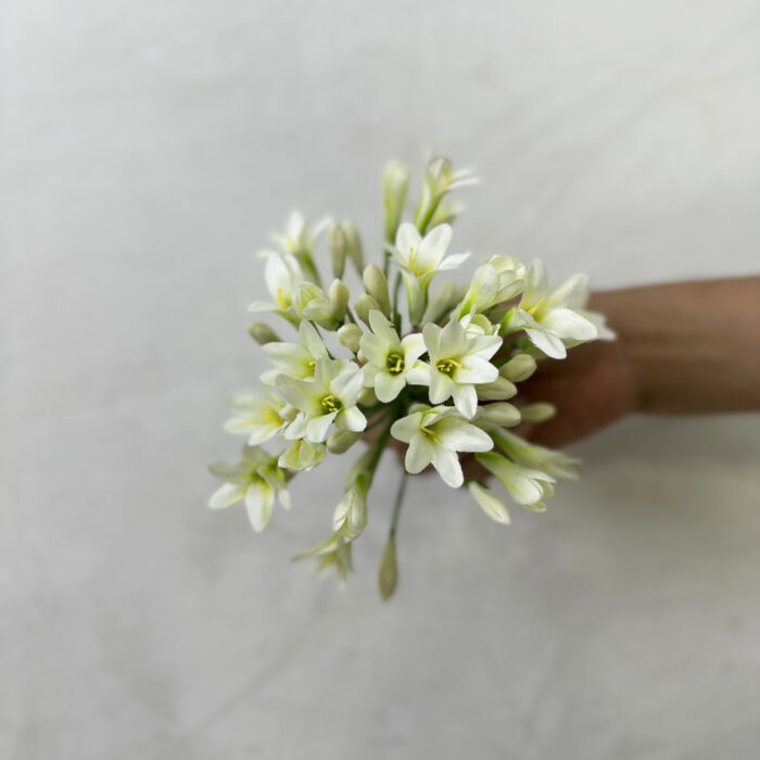GNW White Artificial Agapanthus Africanus LZ-263 - Image 2