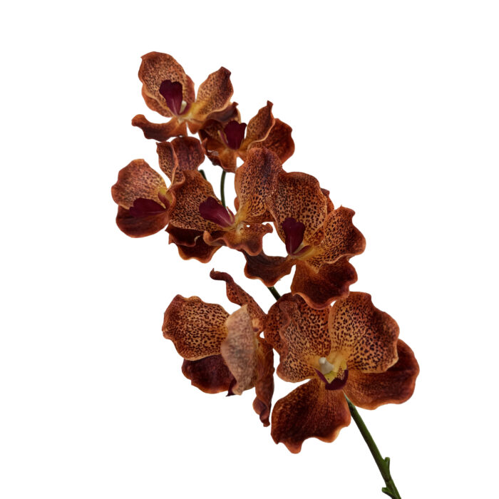 GNW Brown Artificial Orchids Real Touch XS-41 - Image 2
