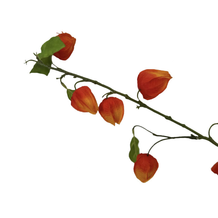 GNW Orange Artificial Physalis Fruit HD-06 - Image 2