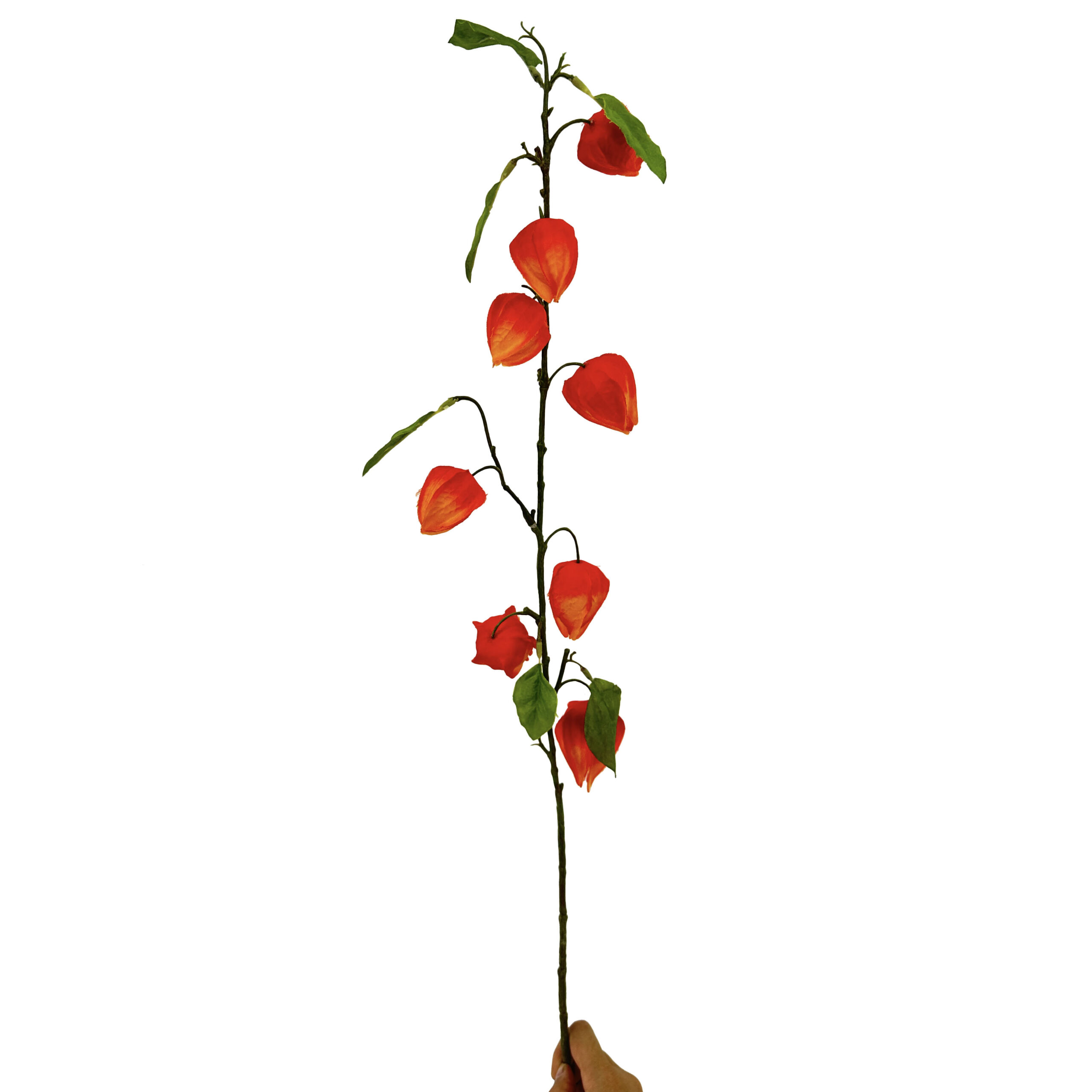 38 GNW Orange Artificial Physalis Fruit HD-06 - Image 1