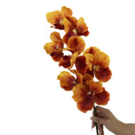 GNW Orange Artificial Orchids Real Touch XS-40 - Image 2