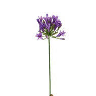 GNW Purple Artificial Agapanthus Africanus LZ-278