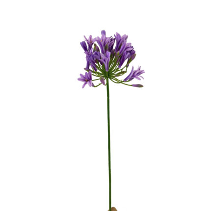 GNW Purple Artificial Agapanthus Africanus LZ-278