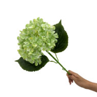 GNW Green Artificial Hydrangea  LRR-571 - Image 3