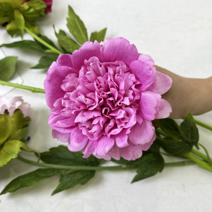 GNW Fuchsia Artificial Austin Rose Real Touch GYX-89 - Image 2