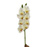 GNW White Artificial 8-head Cymbidium Hybrid‌ HD-12