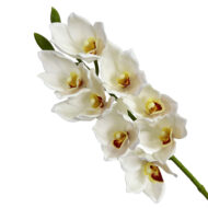 GNW White Artificial 8-head Cymbidium Hybrid‌ HD-12 - Image 2