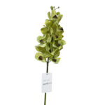 GNW Green Artificial Vanda Orchids Real Touch XM-06