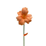 GNW Orange Artificial Flower Branch  HH-03
