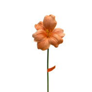 GNW Orange Artificial Flower Branch  HH-03