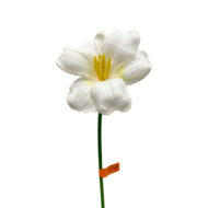 GNW White Artificial Flower Branch  HH-01