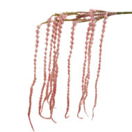 GNW Pink Artificial Amaranthus Caudatus XHH-21 - Image 3