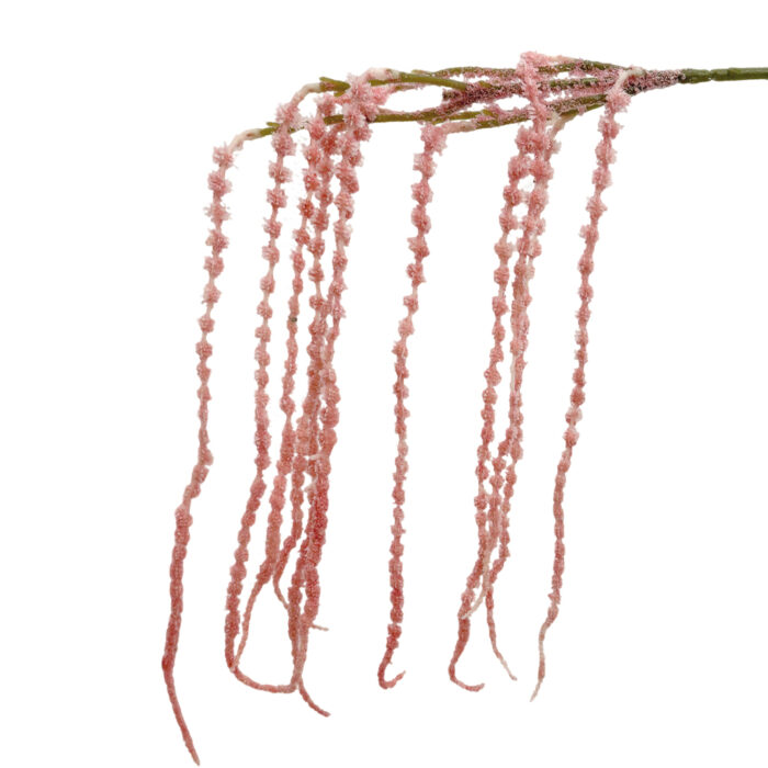 GNW Pink Artificial Amaranthus Caudatus XHH-21 - Image 3