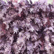Wholesale New Materials Eco-Friendly Artificial Flower Wall Panel for Wedding Decoration - Image 2