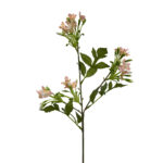 GNW Orange Pink Artificial Agapanthus MYZ-92