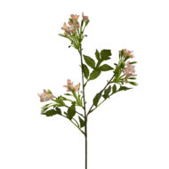 GNW Orange Pink Artificial Agapanthus MYZ-92